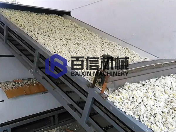 杭白菊烘干設備案例