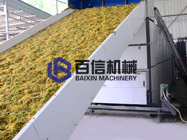 金銀花烘干設備現場展示